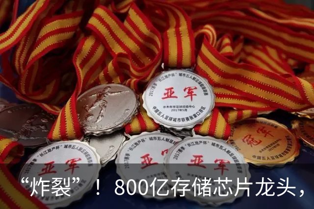 “炸裂”！800亿存储芯片龙头，第三季度净利润增长超2900%