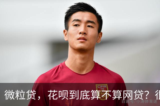 微粒贷，花呗到底算不算网贷？很多人搞错了，后果很严重！