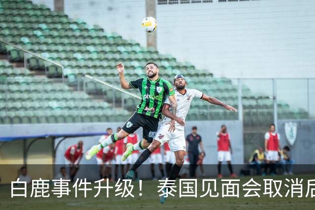 白鹿事件升级！泰国见面会取消后，缅北视频又被扒，黑历史曝光