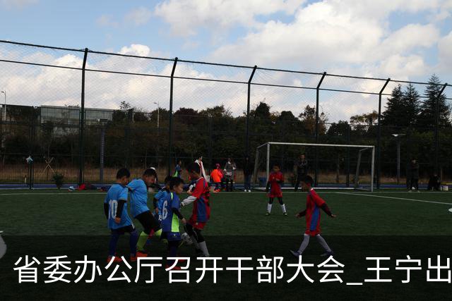 省委办公厅召开干部大会 王宁出席并讲话