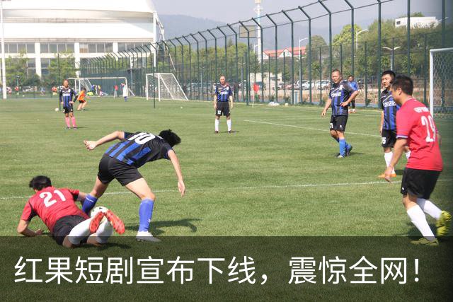 红果短剧宣布下线，震惊全网！