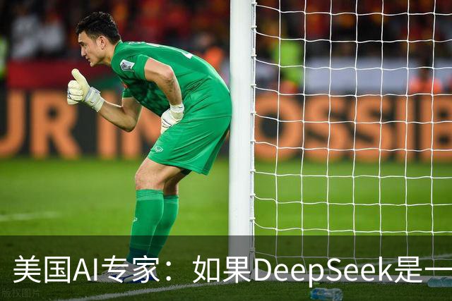 美国AI专家：如果DeepSeek是一家美国公司，那么会出现疯狂的一幕