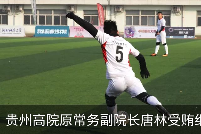 贵州高院原常务副院长唐林受贿细节曝光：一份“电冰箱市场调查报告”值330万