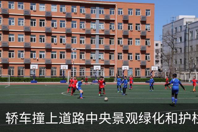 轿车撞上道路中央景观绿化和护栏